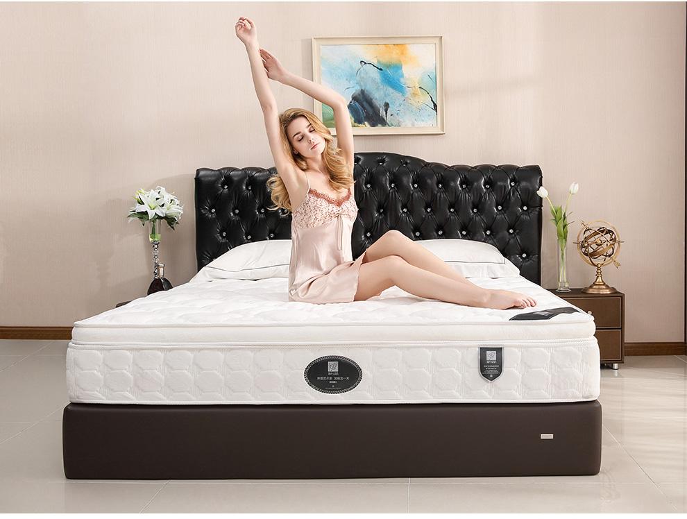 现代简易时尚优雅睡眠床垫